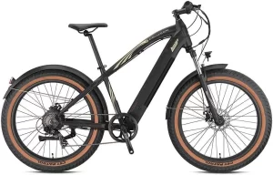 Loop Cruiser 26 Elektrikli Fatbike Bisiklet